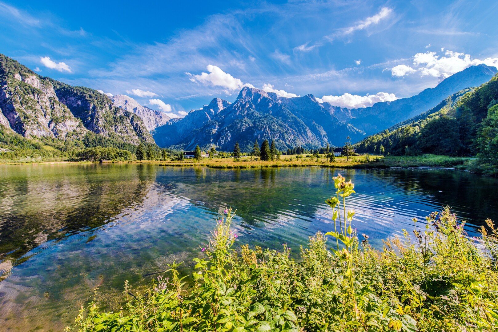 Header image